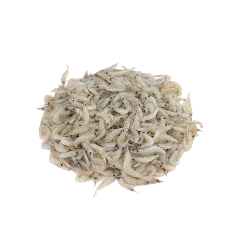 Deshi Small chingri- দেশী ছোট চিংড়ি