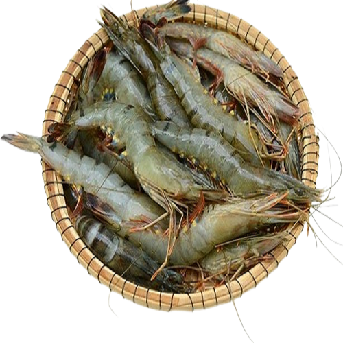 Bagda Chingri (1 kg)বাগদা চিংড়ি