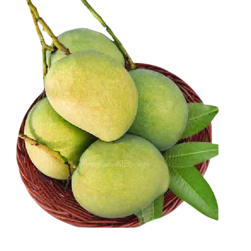 প্রিমিয়াম ল্যাংড়া আম সাতক্ষিরা - Premium Langra Mango Shatkhira