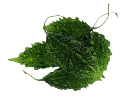 Bitter melon (করলা)