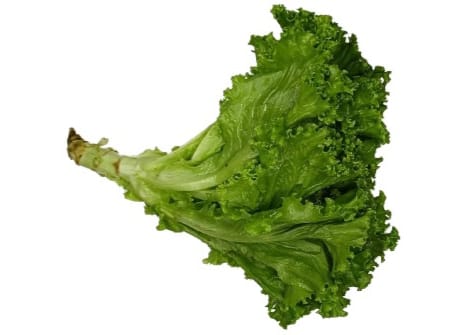 lettuce leaves-(লেটুস পাতা)