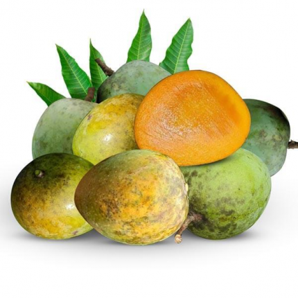 প্রিমিয়াম হাড়িভাঙ্গা আম সাতক্ষিরা